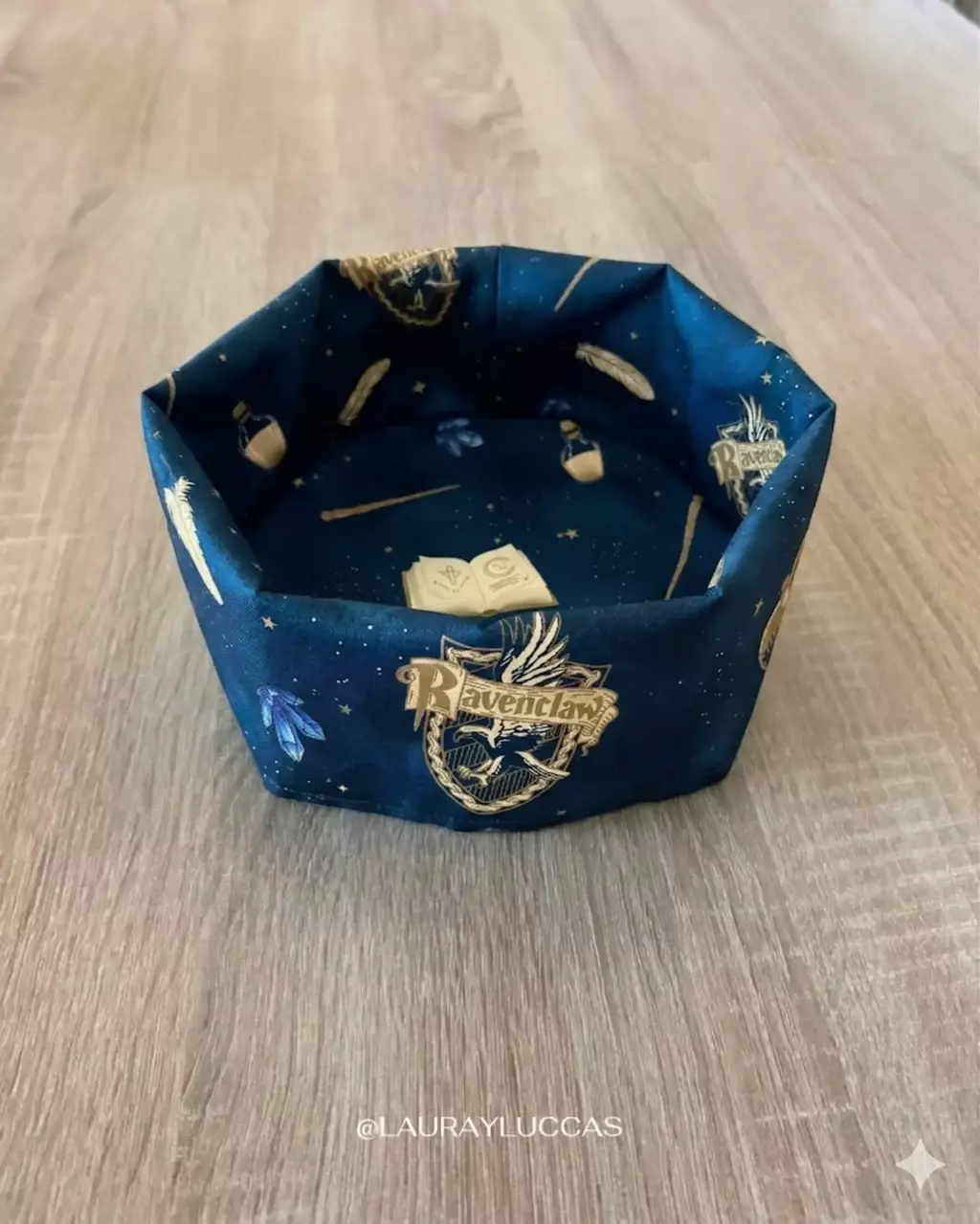 Panera Harry Potter Ravenclaw