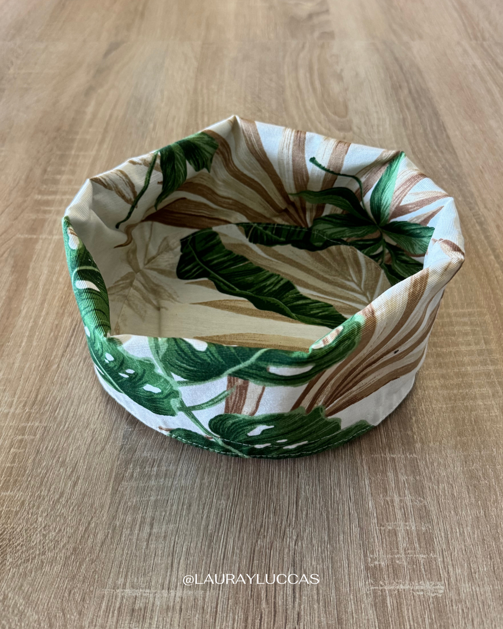 Panera Monstera