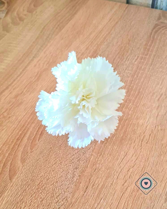 Porta Servilletas Clavel Blanco
