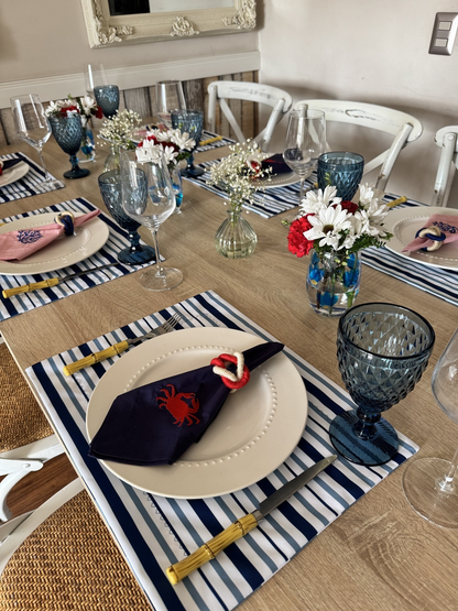 Kit de Mesa Picnic Azul con Servilletas Marinas